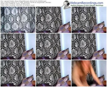 cams247-peachblossom-webcam-show-07_02_2019-23_00_56