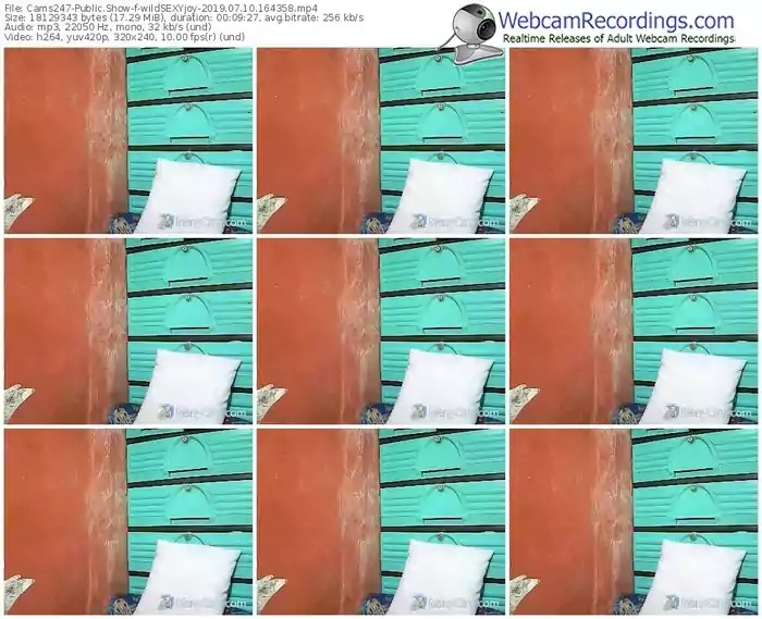 cams247-wildsexyjoy-webcam-show-07_10_2019-16_43_58