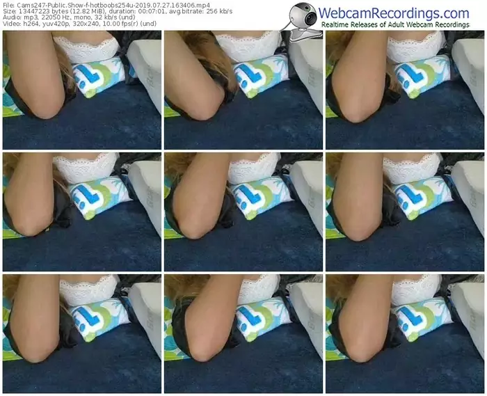 cams247-hotboobs254u-webcam-show-07_27_2019-16_34_06