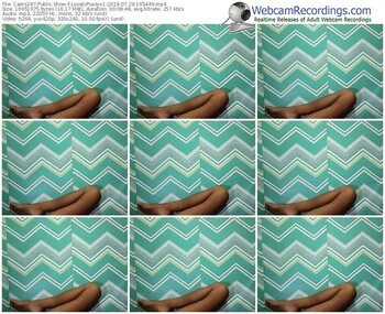 cams247-lovelypussyx1-webcam-show-07_29_2019-16_54_49