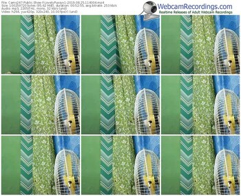 cams247-lovelypussyx1-webcam-show-08_25_2019-11_40_04