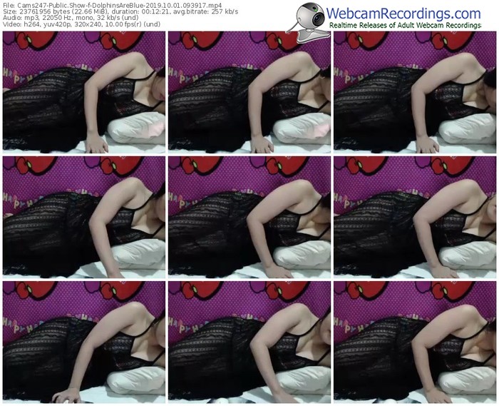 cams247-dolphinsareblue-webcam-show-10_01_2019-09_39_17