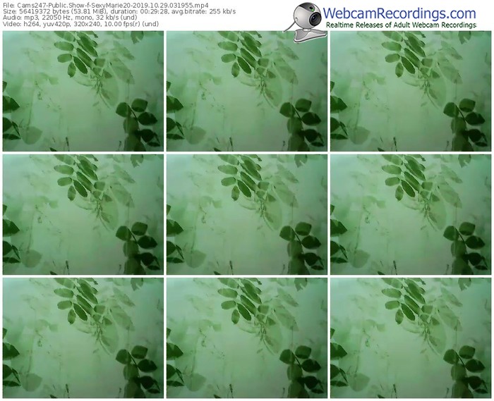 cams247-sexymarie20-webcam-show-10_29_2019-03_19_55