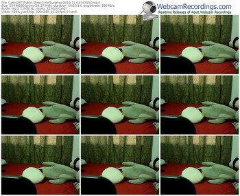cams247-hotsurprise-webcam-show-11_03_2019-04_41_50