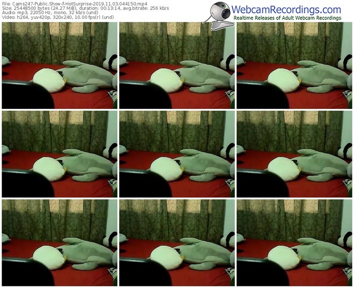 cams247-hotsurprise-webcam-show-11_03_2019-04_41_50