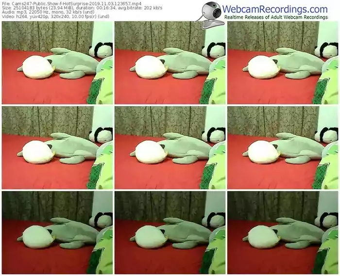 cams247-hotsurprise-webcam-show-11_03_2019-12_36_57