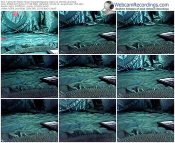 cams247-sparklingpussy-webcam-show-11_28_2019-00_11_43