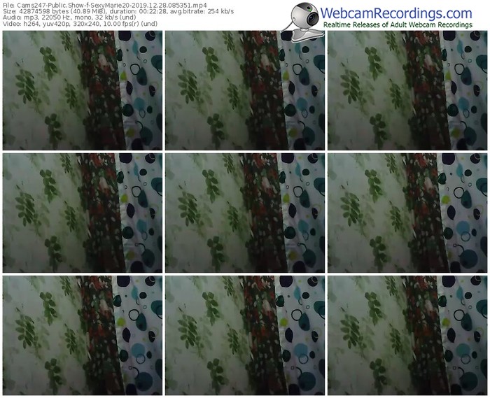 cams247-sexymarie20-webcam-show-12_28_2019-08_53_51