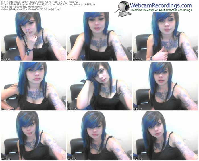 chaturbate-openmind-public-show-03_27_2015-05_31_00