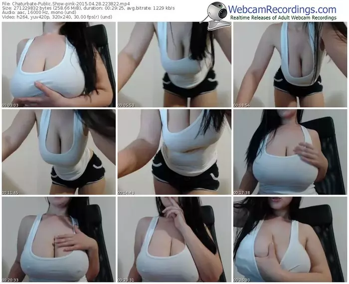 chaturbate-pink-public-show-04_28_2015-22_38_22