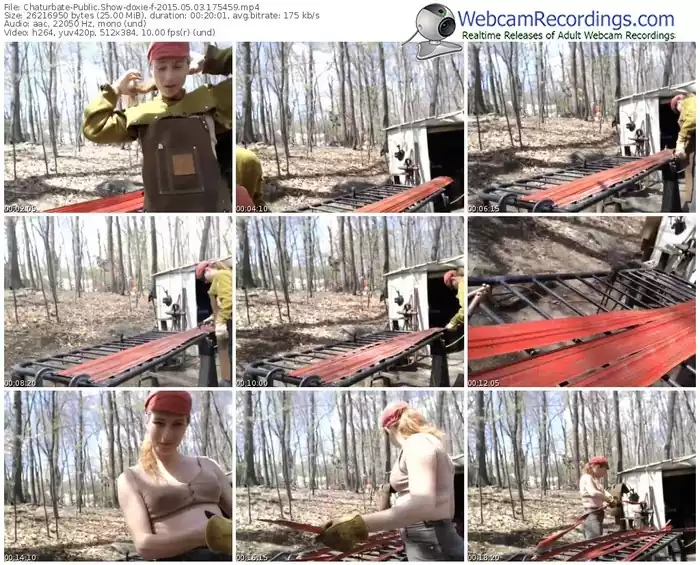 chaturbate-doxie-public-show-05_03_2015-17_54_59