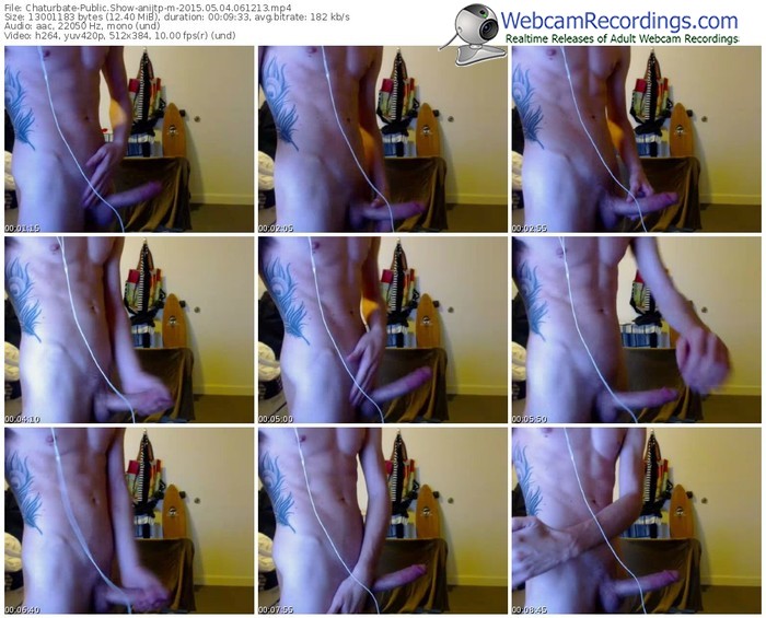 chaturbate-anijtp-public-show-05_04_2015-06_12_13