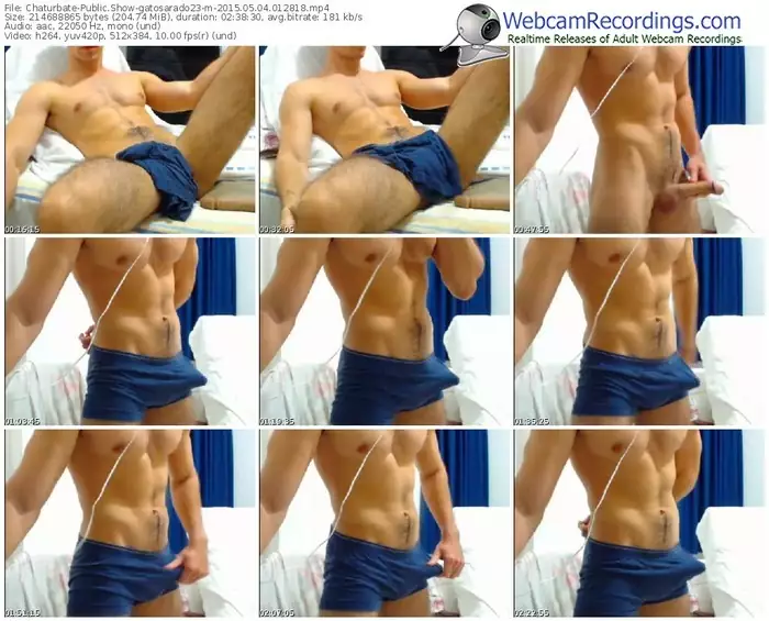 chaturbate-gatosarado23-public-show-05_04_2015-01_28_18