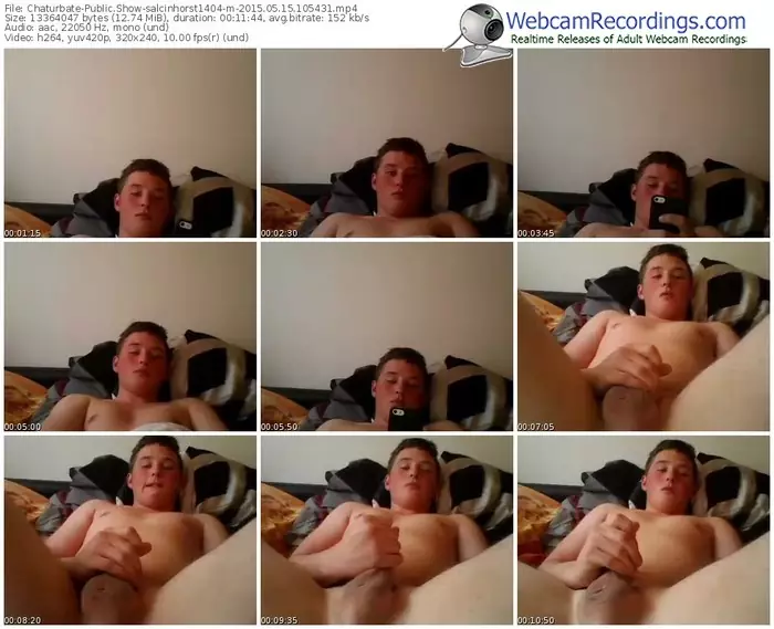 chaturbate-salcinhorst1404-public-show-05_15_2015-10_54_31