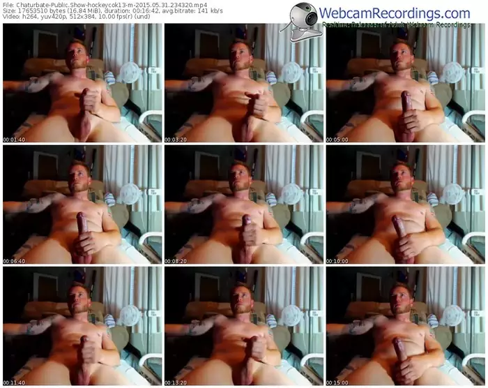 chaturbate-hockeycok13-public-show-05_31_2015-23_43_20
