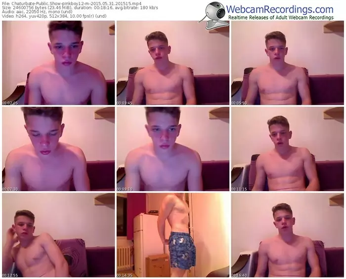 chaturbate-pinkboy12-public-show-05_31_2015-20_15_15