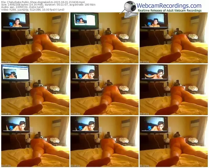 chaturbate-dognaked-public-show-06_01_2015-21_04_36