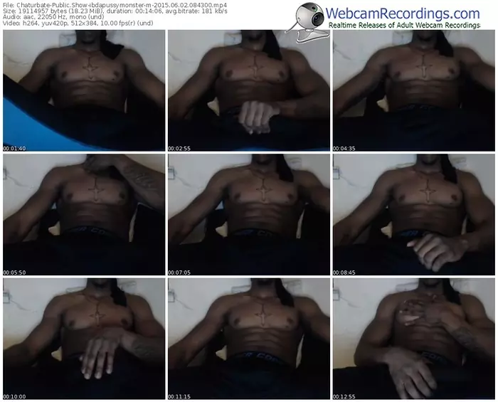 chaturbate-ibdapussymonster-public-show-06_02_2015-08_43_00