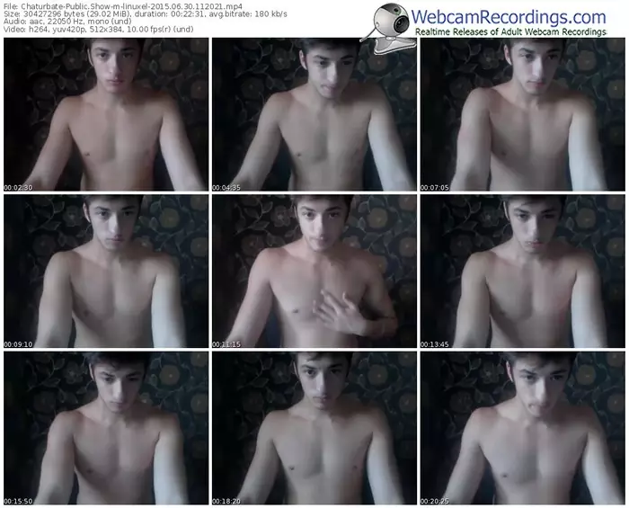 chaturbate-linuxel-public-show-06_30_2015-11_20_21