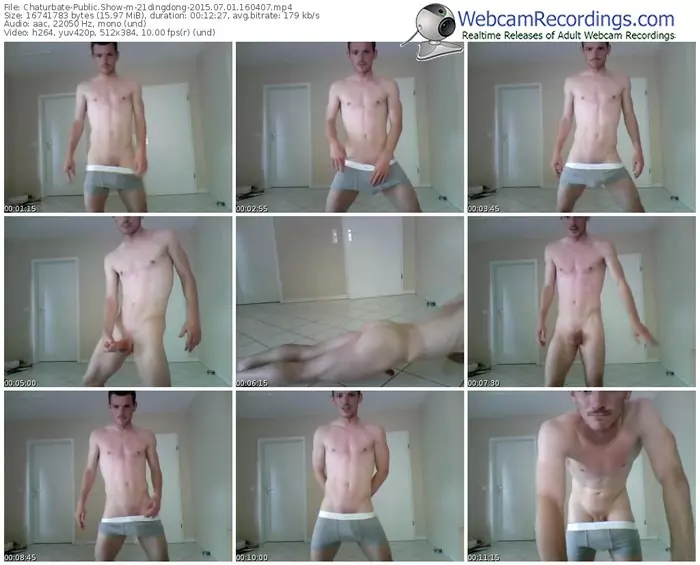 chaturbate-21dingdong-public-show-07_01_2015-16_04_07