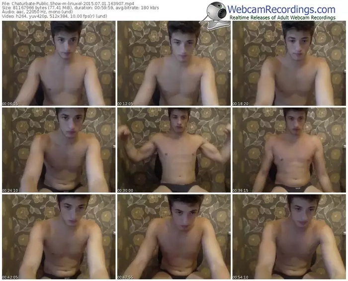 chaturbate-linuxel-public-show-07_01_2015-16_39_07