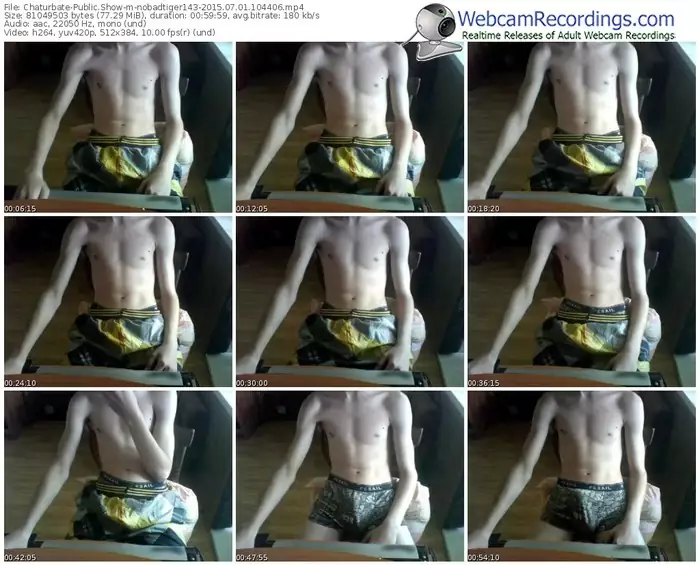 chaturbate-nobadtiger143-public-show-07_01_2015-10_44_06