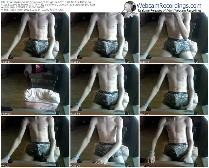 chaturbate-nobadtiger143-public-show-07_01_2015-11_44_06