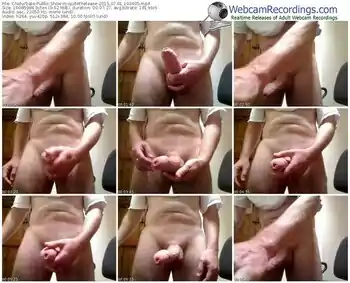 chaturbate-quitethetease-public-show-07_01_2015-10_34_05