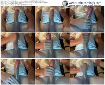 chaturbate-donkey2882-public-show-07_02_2015-22_17_35