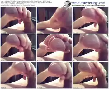 chaturbate-lotsofprecum79-public-show-07_02_2015-13_17_24