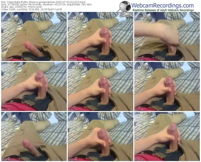 chaturbate-progmansion-public-show-07_02_2015-01_12_15