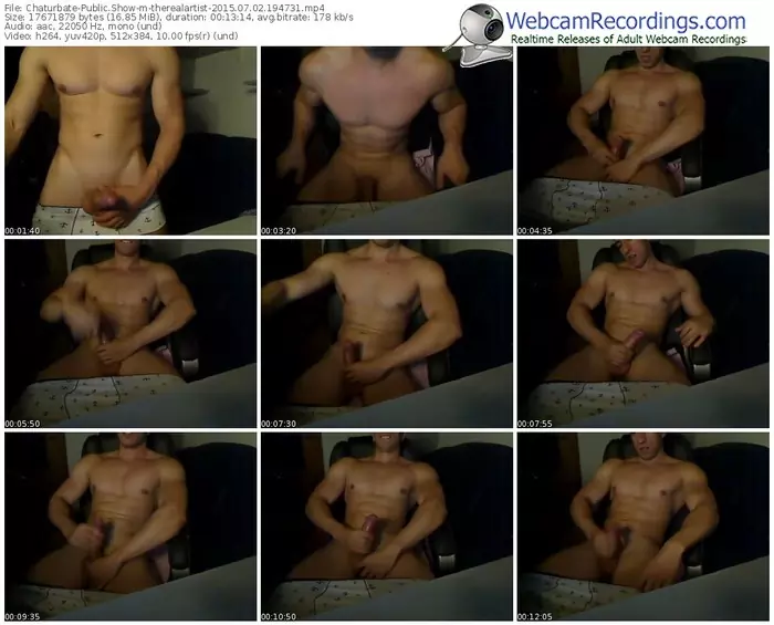 chaturbate-therealartist-public-show-07_02_2015-19_47_31