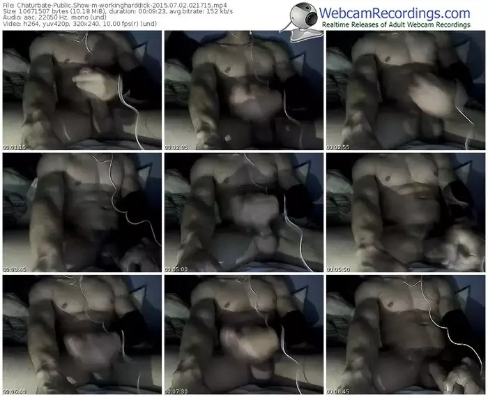 chaturbate-workingharddick-public-show-07_02_2015-02_17_15