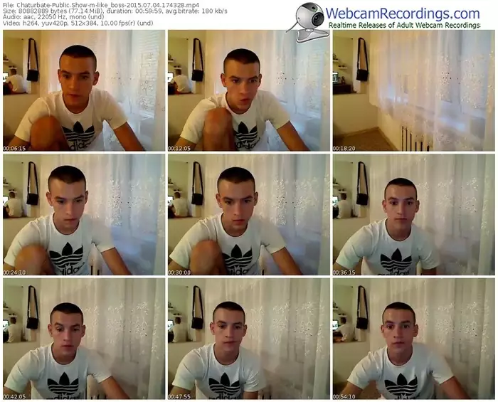 chaturbate-like_boss-public-show-07_04_2015-17_43_28