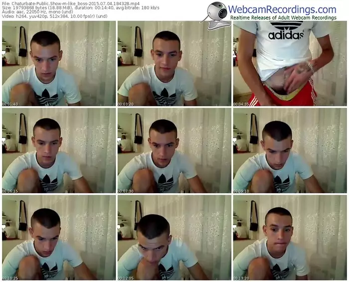 chaturbate-like_boss-public-show-07_04_2015-18_43_28