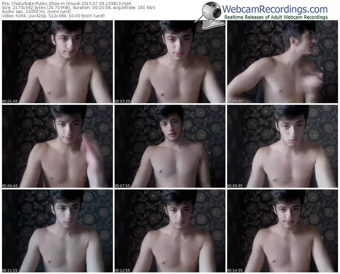 chaturbate-linuxel-public-show-07_04_2015-10_38_13