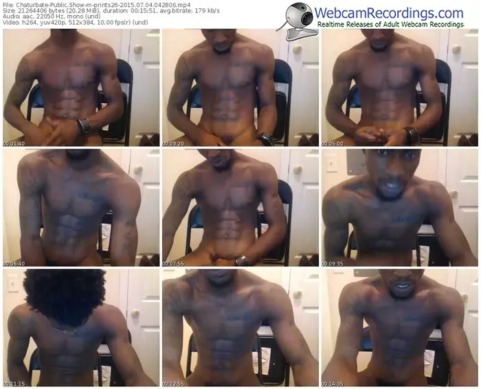 chaturbate-prints26-public-show-07_04_2015-04_28_06