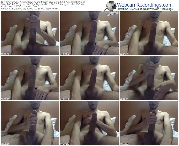chaturbate-shaftmasturbating-public-show-07_04_2015-00_48_02