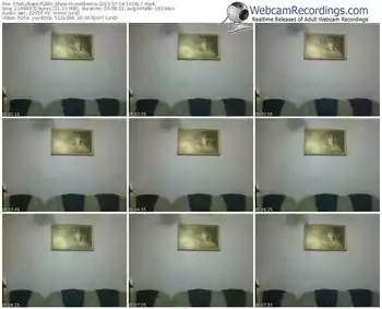 chaturbate-webheero-public-show-07_04_2015-19_04_17