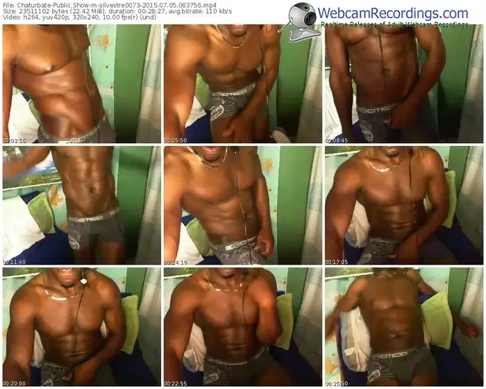 chaturbate-silvestre0073-public-show-07_05_2015-06_37_56