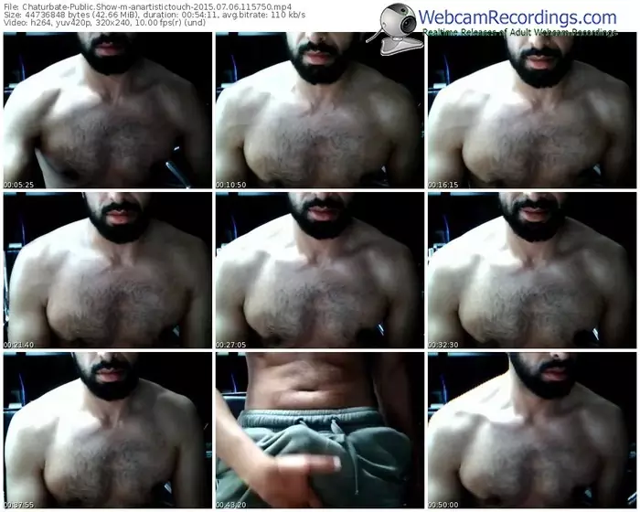 chaturbate-anartistictouch-public-show-07_06_2015-11_57_50