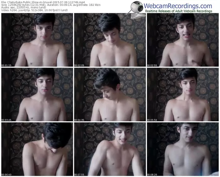 chaturbate-linuxel-public-show-07_06_2015-11_27_49