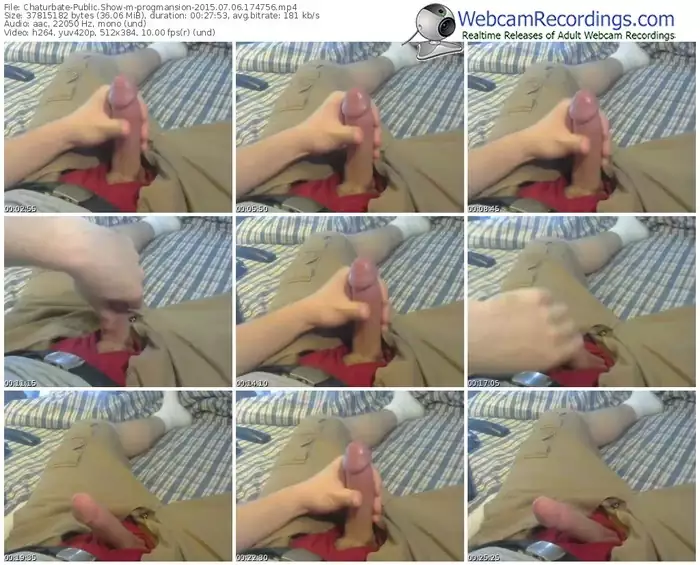 chaturbate-progmansion-public-show-07_06_2015-17_47_56