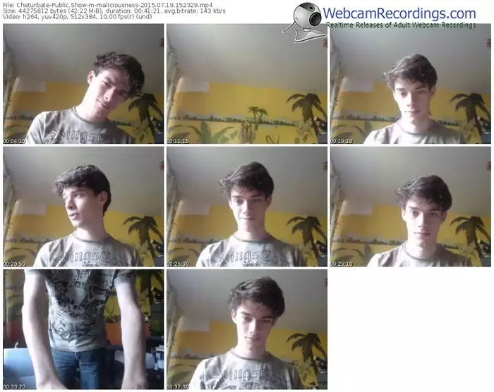 chaturbate-maliciousness-public-show-07_19_2015-15_23_29