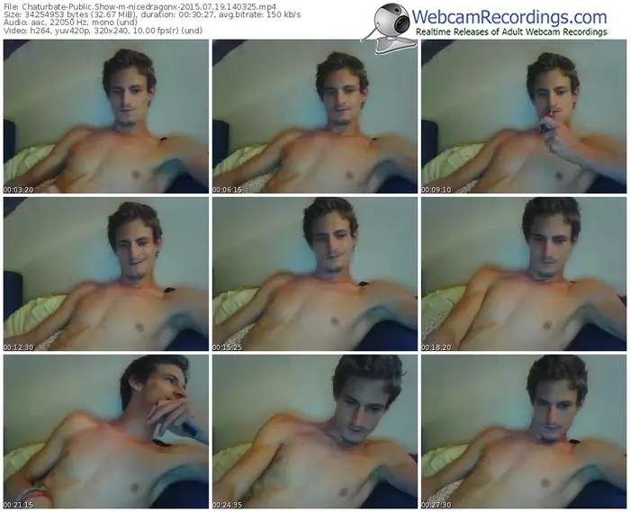 chaturbate-nicedragonx-public-show-07_19_2015-14_03_25