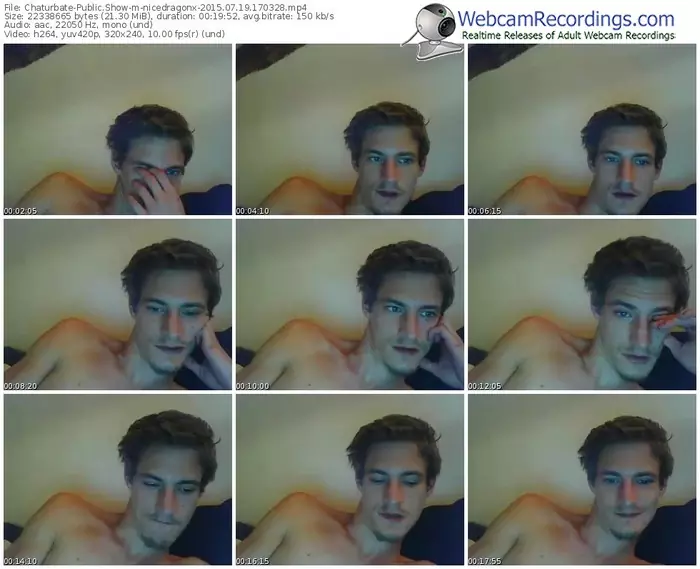 chaturbate-nicedragonx-public-show-07_19_2015-17_03_28