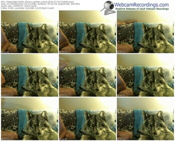 chaturbate-amber_wolve-public-show-07_20_2015-15_46_40