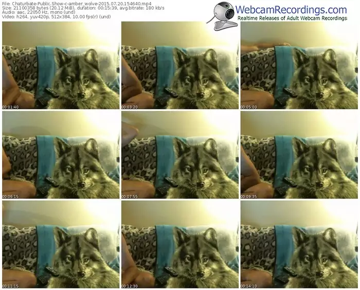 chaturbate-amber_wolve-public-show-07_20_2015-15_46_40