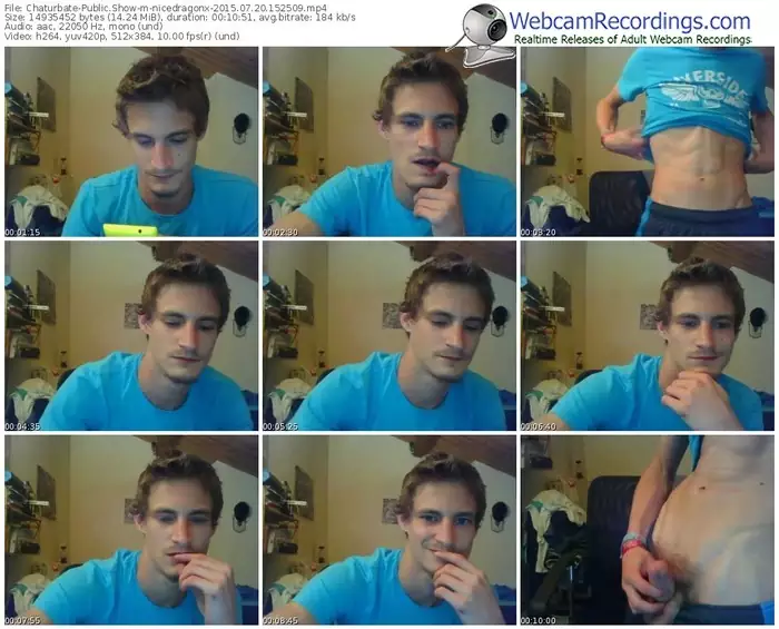 chaturbate-nicedragonx-public-show-07_20_2015-15_25_09