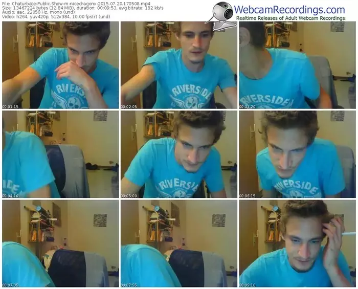 chaturbate-nicedragonx-public-show-07_20_2015-17_05_08